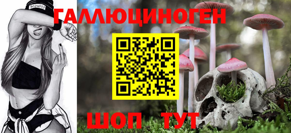 Псилоцибиновые грибы MAGIC MUSHROOMS  Псилоцибиновые грибы Psilocybe  Ртищево  Вход с VPN 