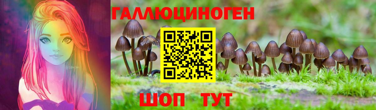 Псилоцибиновые грибы Cubensis Ртищево